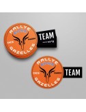 Lot de 10 stickers Logo Team