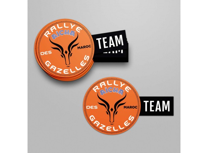 Lot de 10 stickers Logo Team