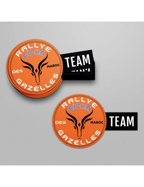 Lot de 10 stickers Logo Team